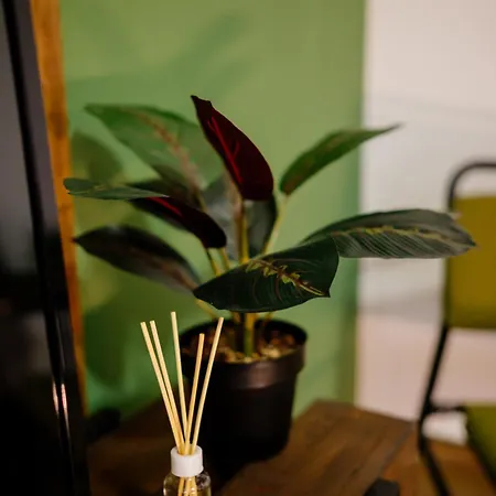 Timeout Apartment *